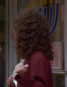Elaine Benes with half a plot hanging out on Seinfeld