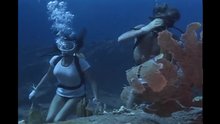 Jacqueline Bisset diving in The Deep