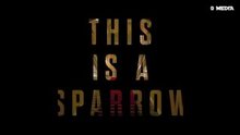 Jennifer Lawrence, is a Sparrow